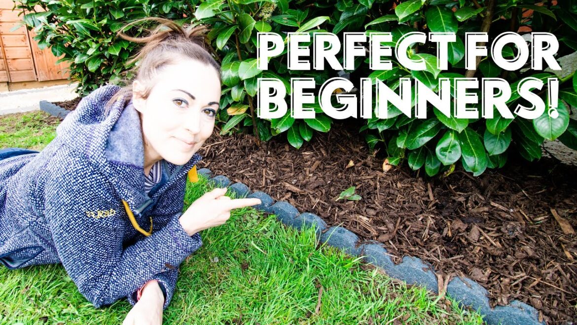 Easy Garden Edge Border for Beginners / Lawn Edging DIY | The Carpenter’s Daughter Easy Garden Edge Border for Beginners / Lawn Edging DIY | The Carpenter's Daughter