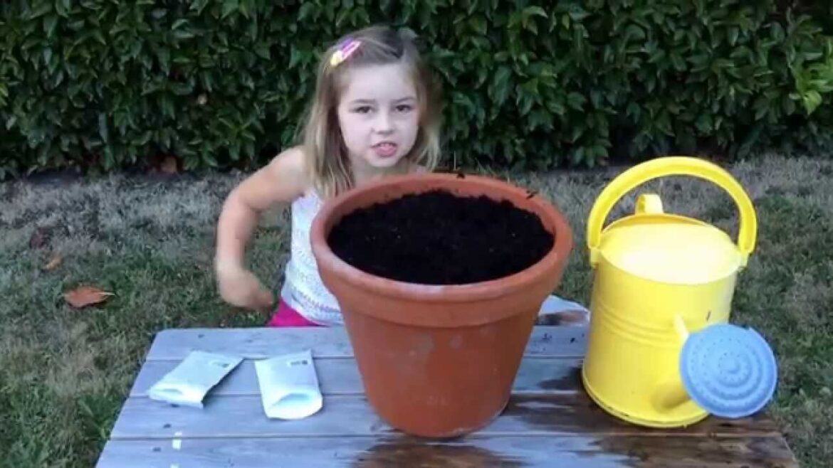 :: Fall Gardening :: Container Garden:: Purple / Dragon Carrots :: Paris Carrots::