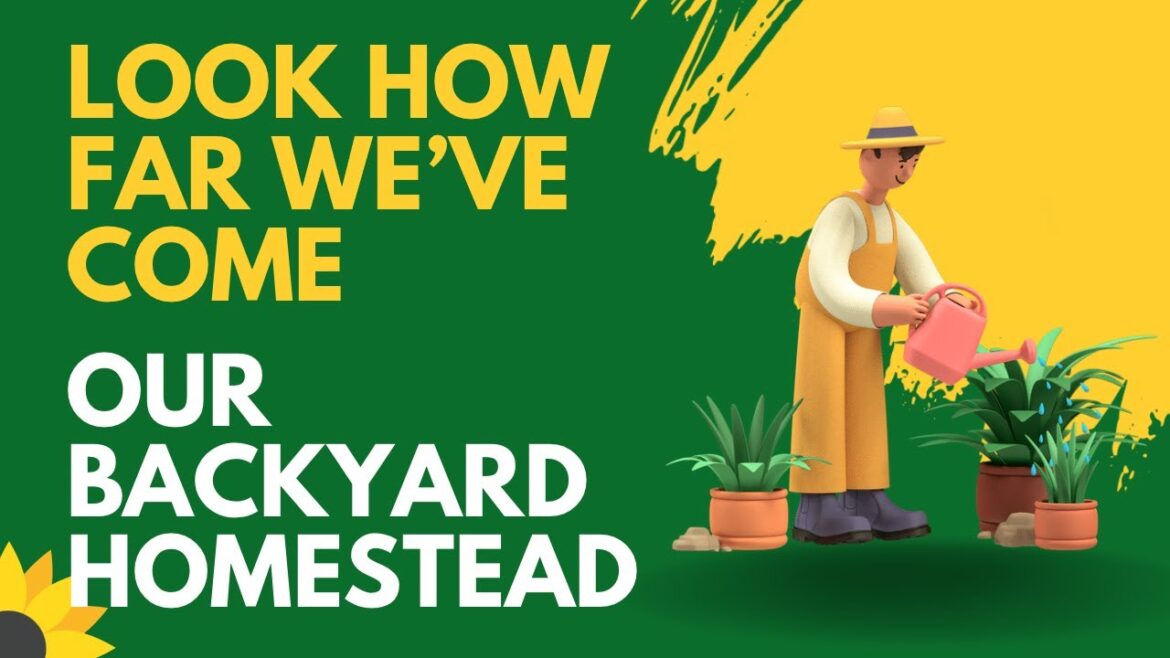 The Road So Far: Backyard Garden/Homestead Progress