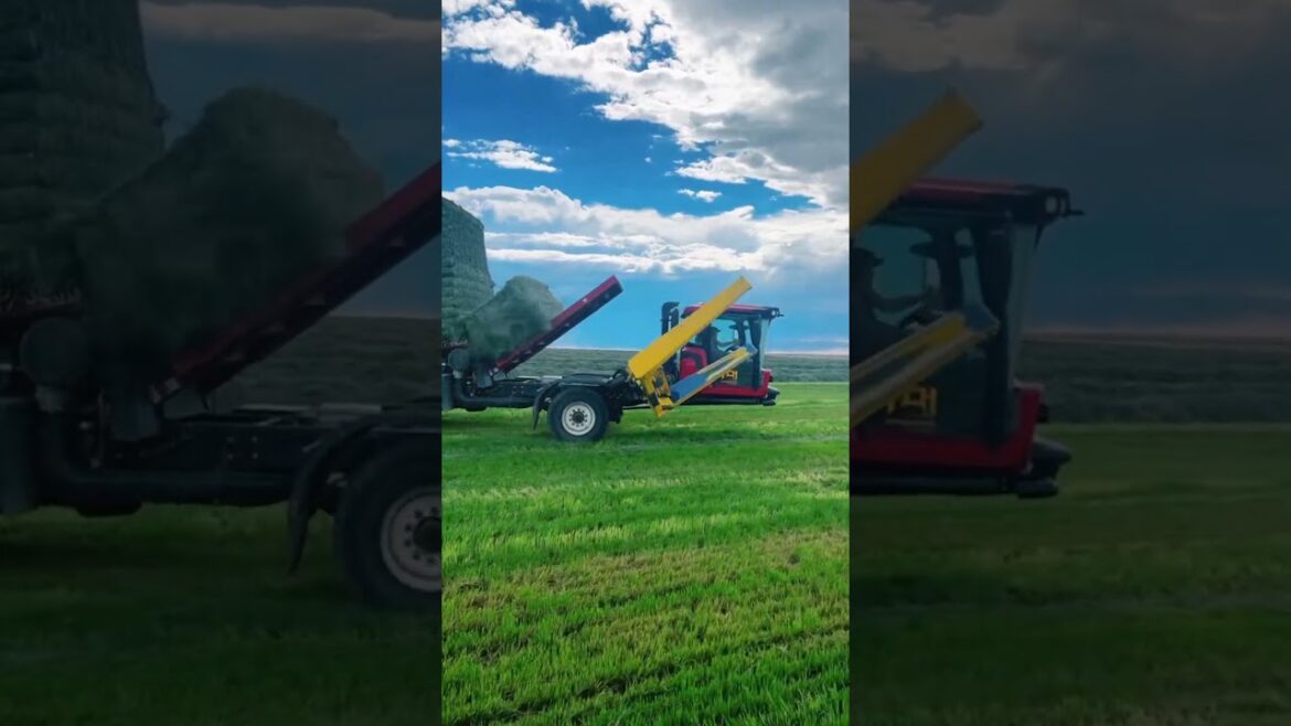 #agriculture #youtubeshorts #farming #noamancreation #farmforsale #agriculture #youtubeshorts #farming #noamancreation #farmforsale