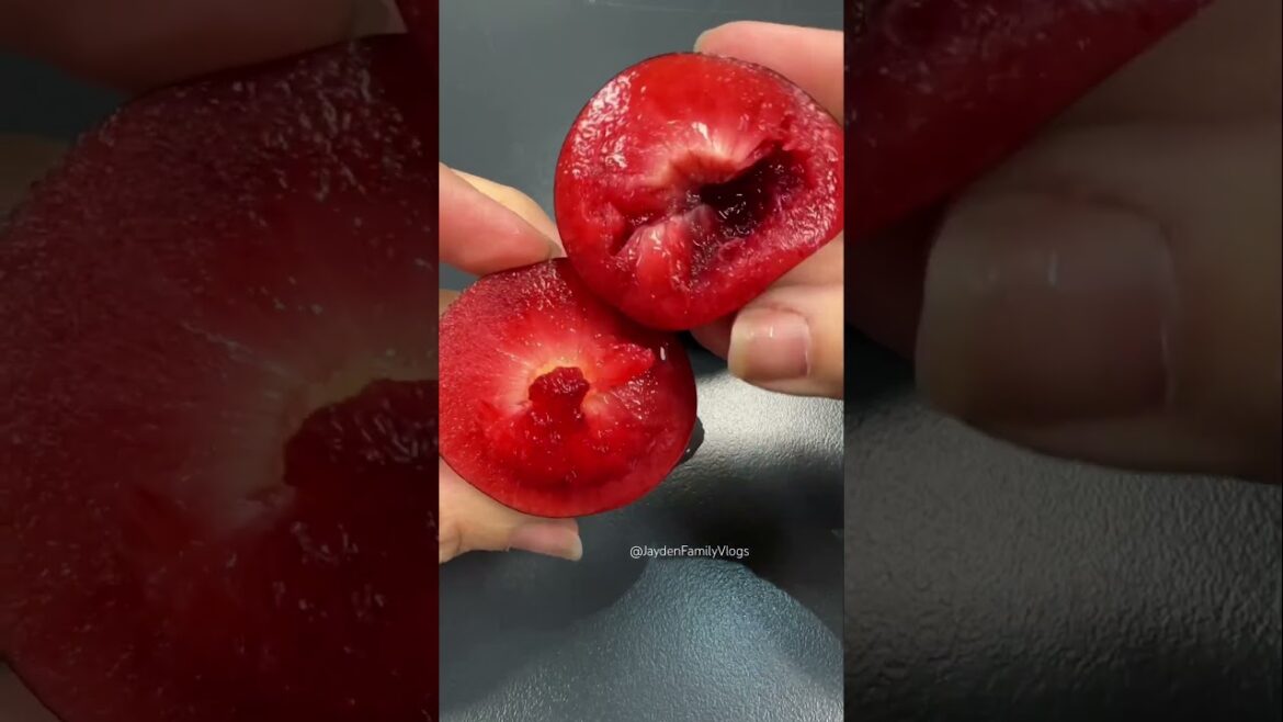 Fruit Cutting PLUMS π±π± #shorts #satisfying #shortsvideo #fruitcutting #enjoy #oddlysatisfying Fruit Cutting PLUMS π±π± #shorts #satisfying #shortsvideo #fruitcutting #enjoy #oddlysatisfying