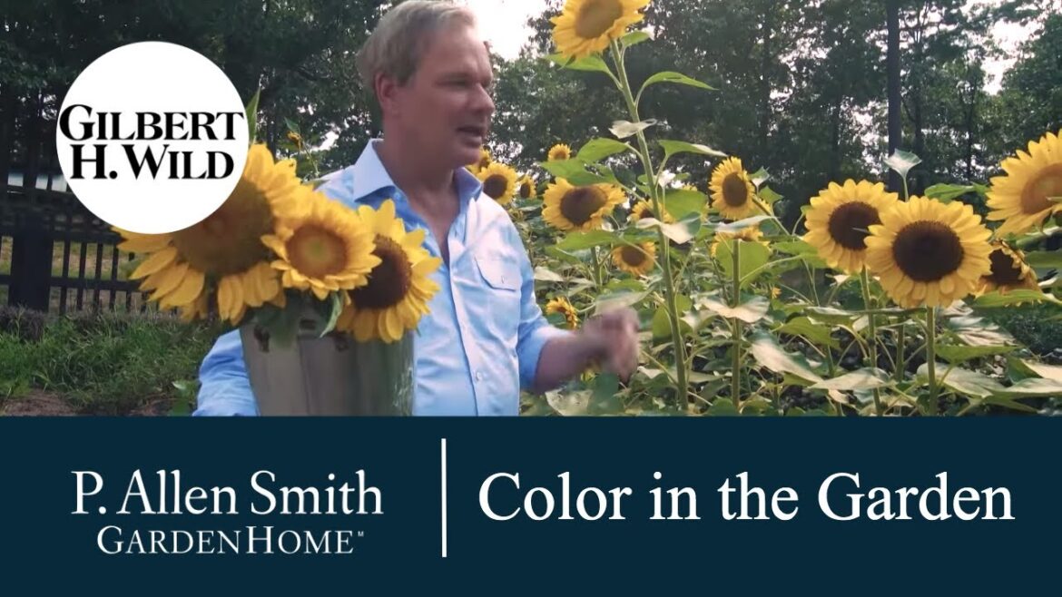 Adding Color to Home & Garden | Garden Home (1707) Adding Color to Home & Garden | Garden Home (1707)