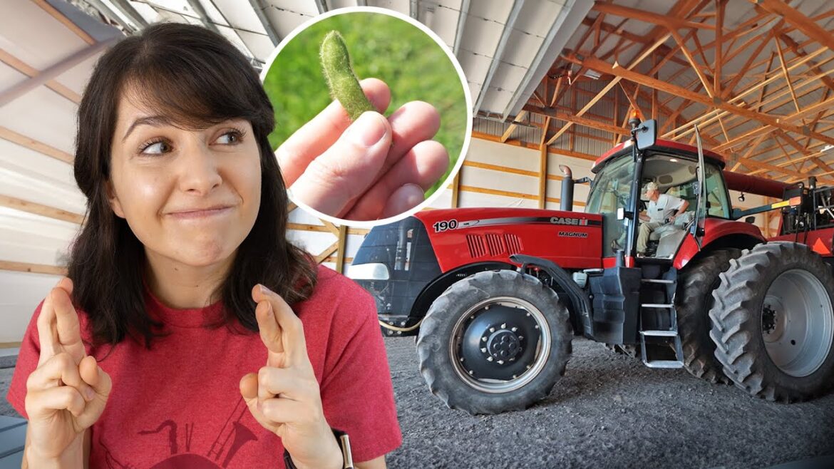 This Tractor Runs on Soybeans (Michigan's Amazing Farmers & Engineers)