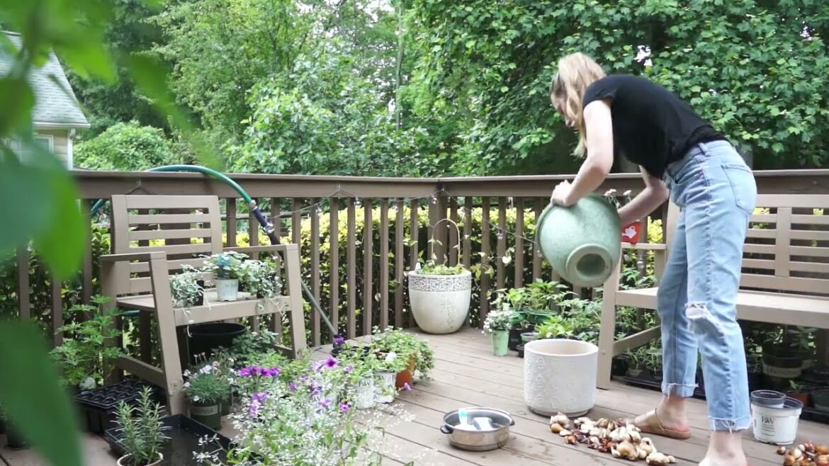 Moving the Perennials out and Planting Gorgeous Annuals in my Container Garden