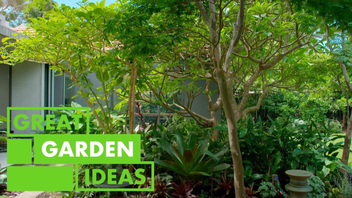 Glebe Garden Walkaround | GARDEN | Great Home Ideas Glebe Garden Walkaround | GARDEN | Great Home Ideas