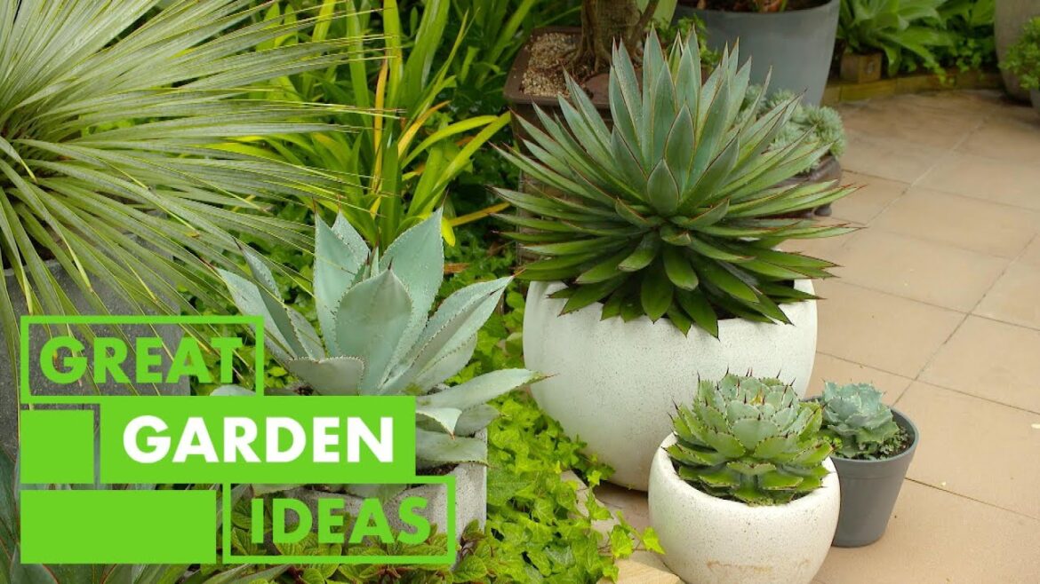 Propagating 101 | GARDEN | Great Home Ideas