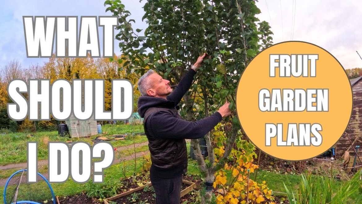 Fruit and flower garden future plans – Allotment Gardening UK Fruit and flower garden future plans - Allotment Gardening UK