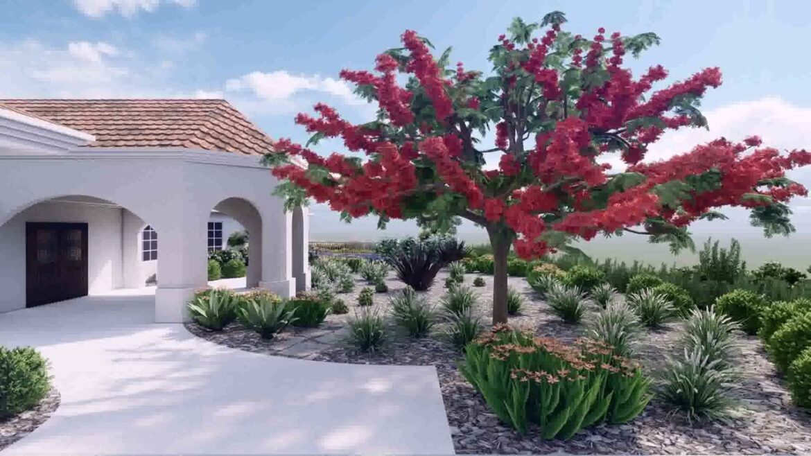 Front Yard Courtyard Ideas