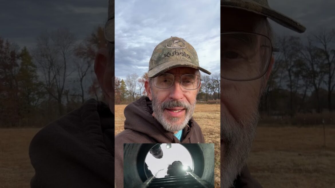 πΏπ«π± The Bermuda Grass Struggle: The Epic Battle! πΏπ«π± πΏπ«π± The Bermuda Grass Struggle: The Epic Battle! πΏπ«π±