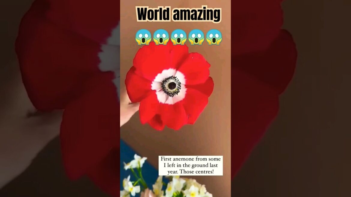 The beetle on my tree😳 #shorts #viral #gardening #trending #mydoonterrace The beetle on my tree😳 #shorts #viral #gardening #trending #mydoonterrace