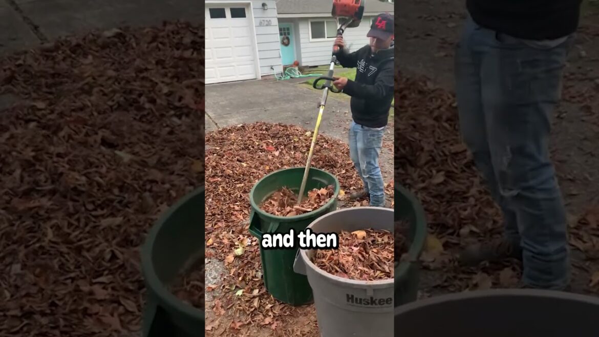 He made a leaf shake