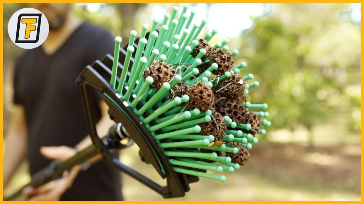 GARDEN FASTER With These Modern GARDENING TOOLS ! - Patio Moss Removal Made Easy