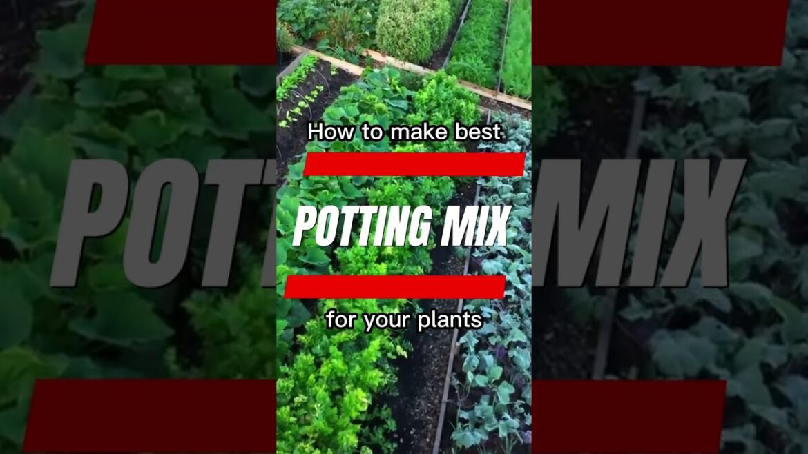 Gardening Tips : How to make best potting mix for your plants (best potting mix)