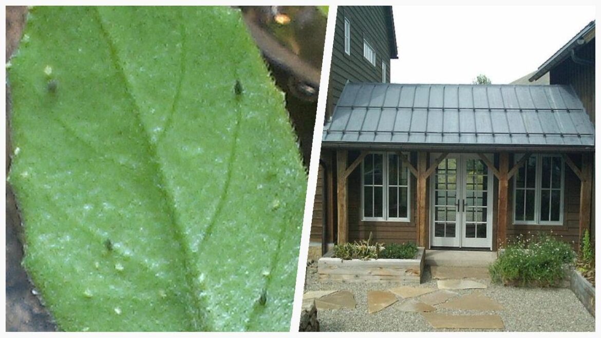 75 Gravel Patio Vegetable Garden Design Ideas You’ll Love ๐ 75 Gravel Patio Vegetable Garden Design Ideas You'll Love ๐