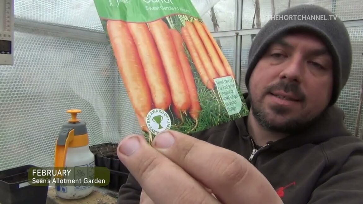 Sean’s Allotment Garden 7: Making Raised Beds, Pond Fountain, Wild Flowers, Seedling update, RHS AGM Sean's Allotment Garden 7: Making Raised Beds, Pond Fountain, Wild Flowers, Seedling update, RHS AGM