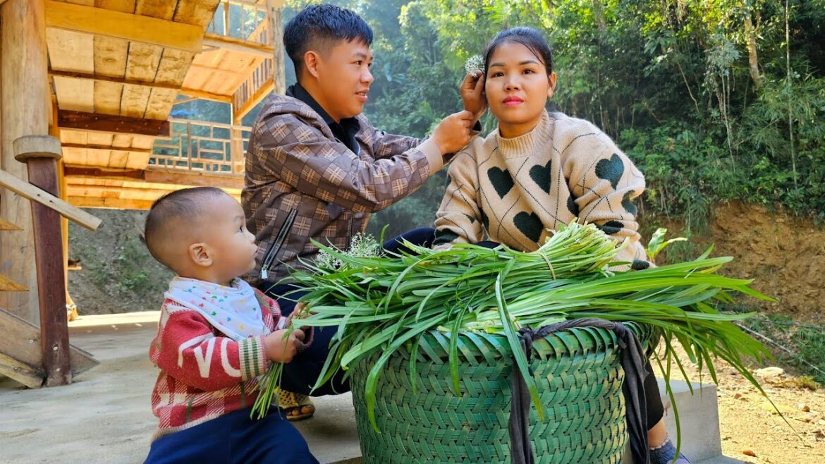 Harvest vegetable gardenGoes to market sell – Gardening growing flowers | Hà Tòn Chài Harvest vegetable gardenGoes to market sell - Gardening growing flowers | Hà Tòn Chài