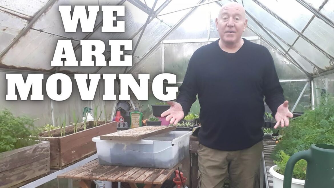 We Are Moving [Gardening Allotment UK] [Grow Vegetables At Home ]