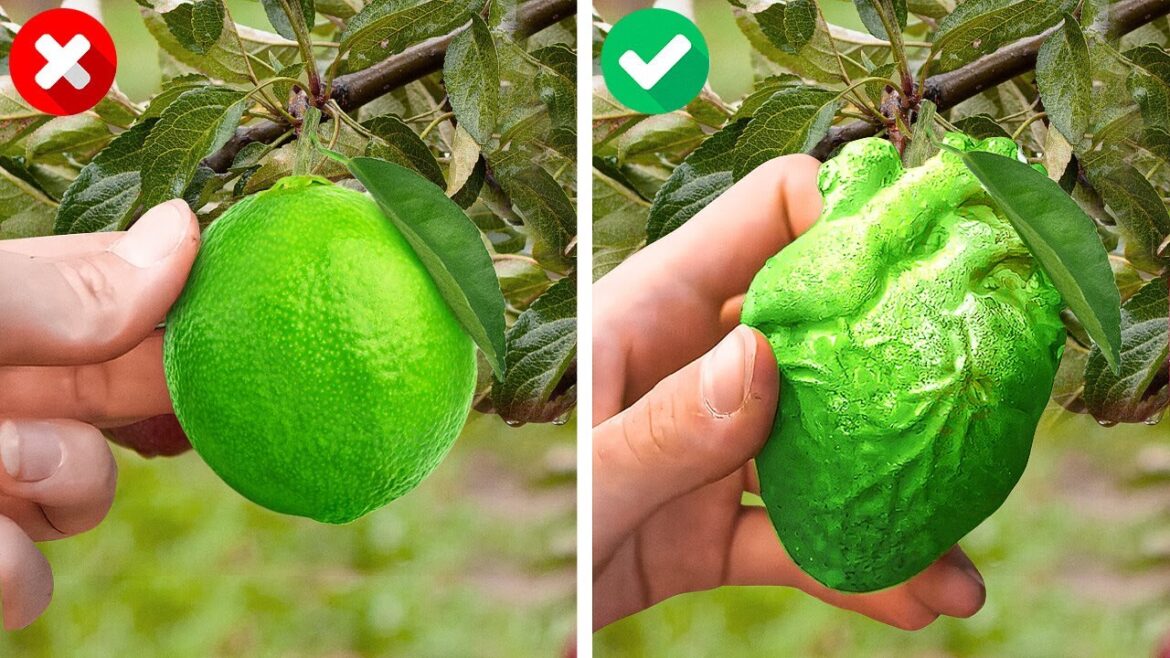 Awesome Gardening Tips & Tricks And Cool Hacks To Grow Plants Awesome Gardening Tips & Tricks And Cool Hacks To Grow Plants