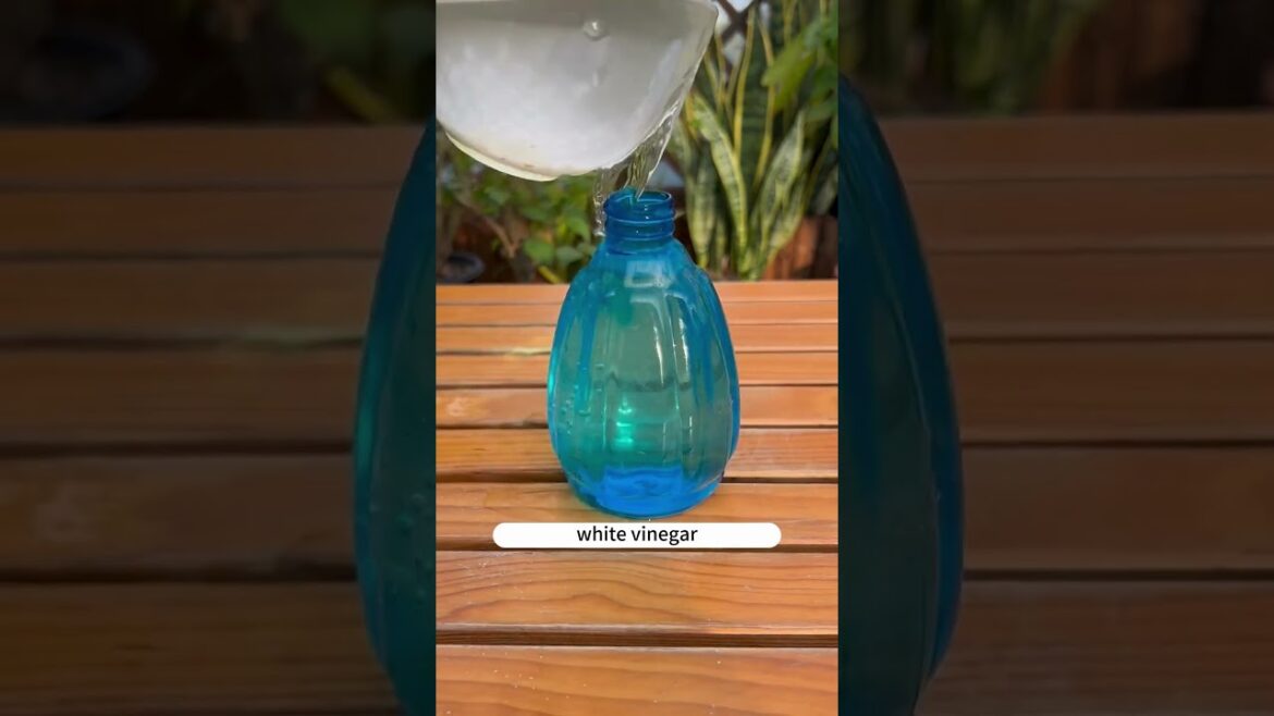 Revitalize your Garden Flower and plant care tips: ! #soilhealth #gardenlife