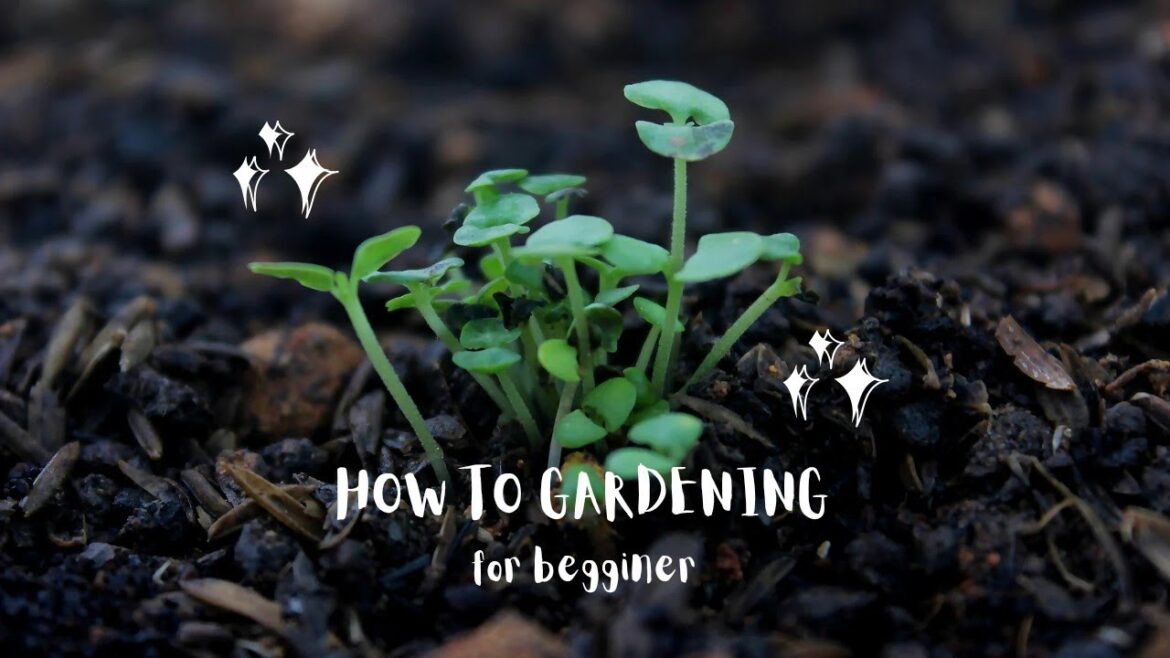 vegetable gardening tips#కూరకాయలను సులభంగా ఎలా పండించాలి vegetable gardening tips#కూరకాయలను సులభంగా ఎలా పండించాలి