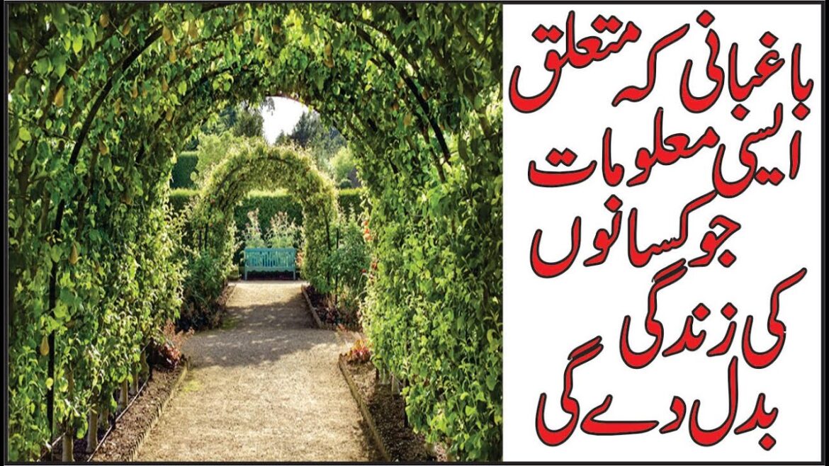 The Ultimate Guide to Gardening: Tips and Tricks for a Lush Paradise "The Ultimate Guide to Gardening: Tips and Tricks for a Lush Paradise"
