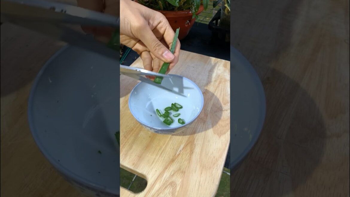 Amazing uses of aloe vera #tips #shorts