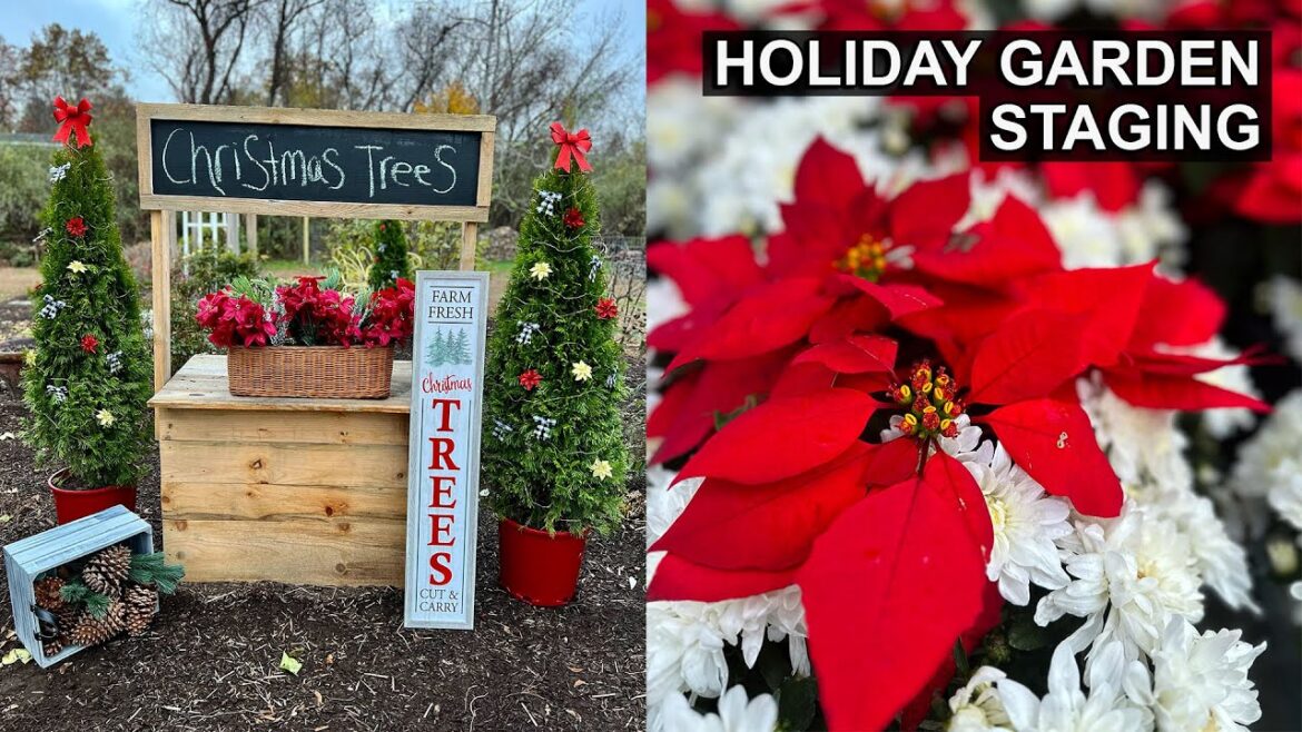 Creating a Magical Winter Atmosphere | Garden Staging Tips Creating a Magical Winter Atmosphere | Garden Staging Tips