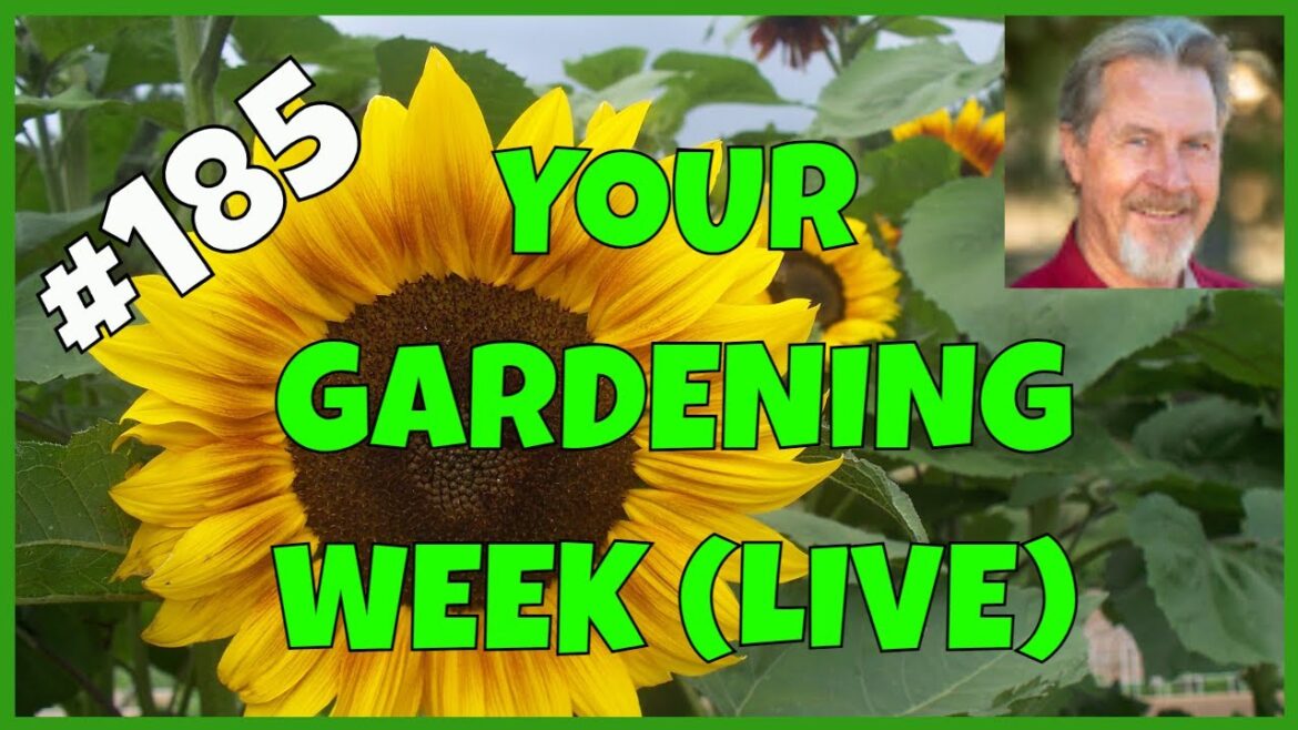 Planning for Seeds (Q&A)