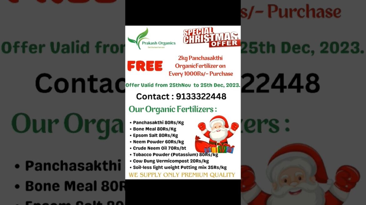 Organic fertilizers for container gardening