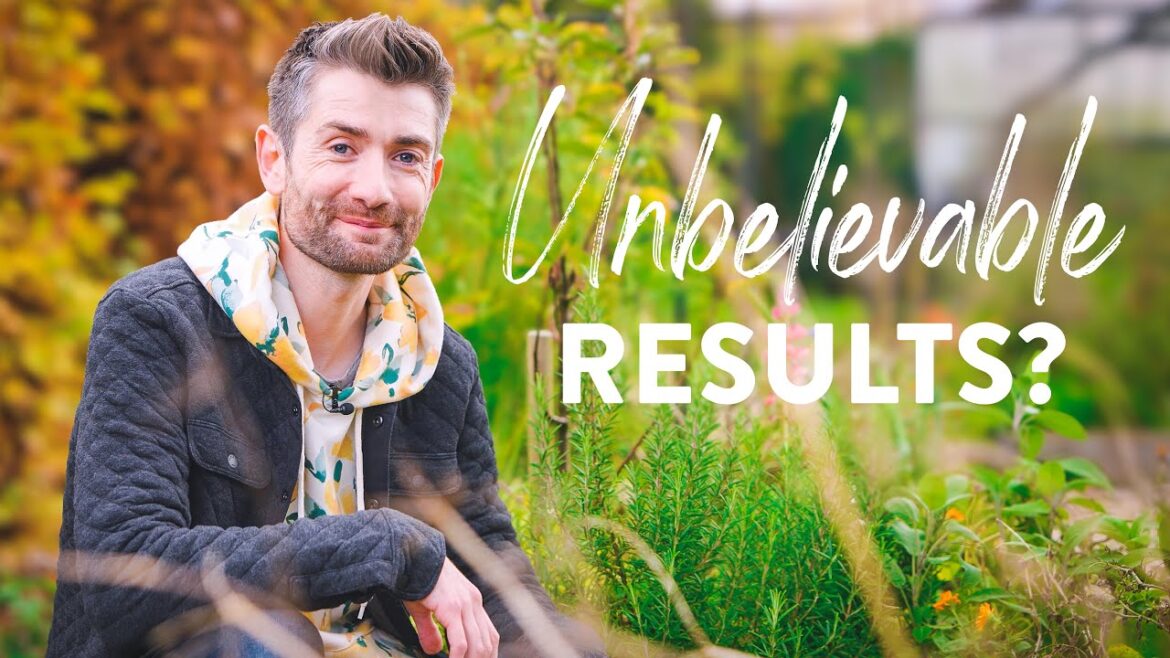 1st Year Fruit Tree Guilds - Did They Work???