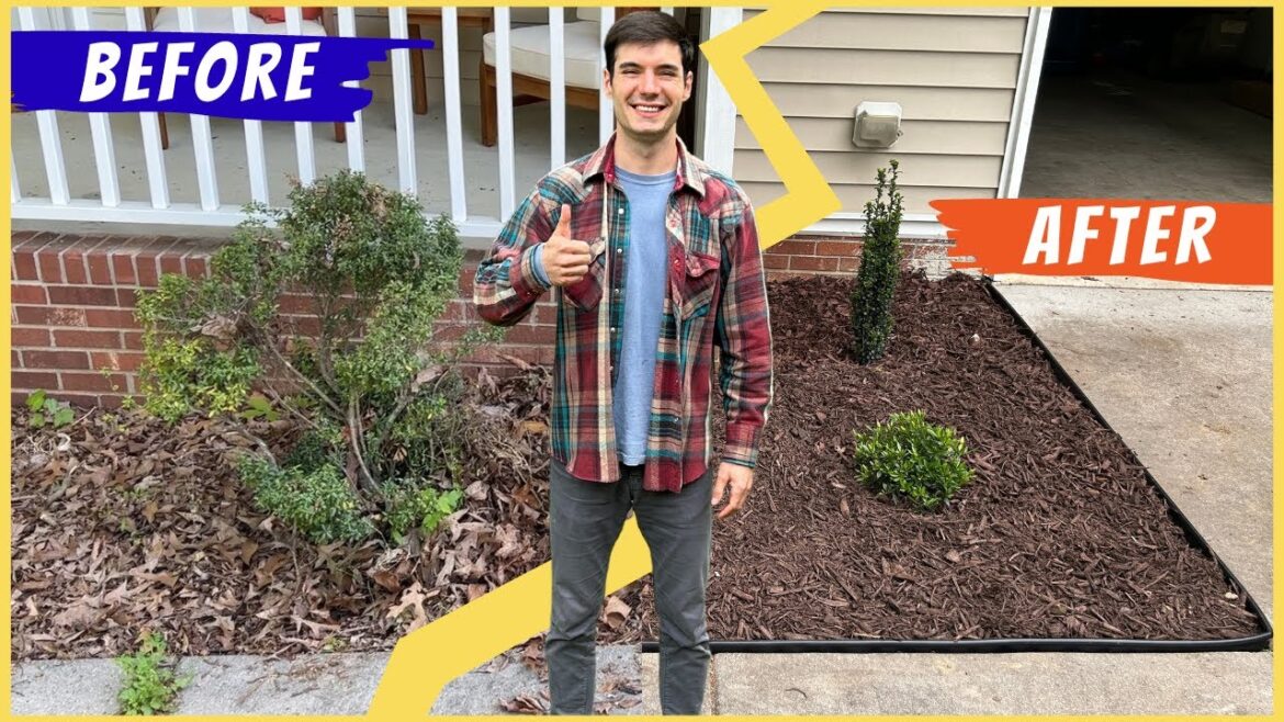 DIY Shaded Front Yard Landscape | Plants and Tips