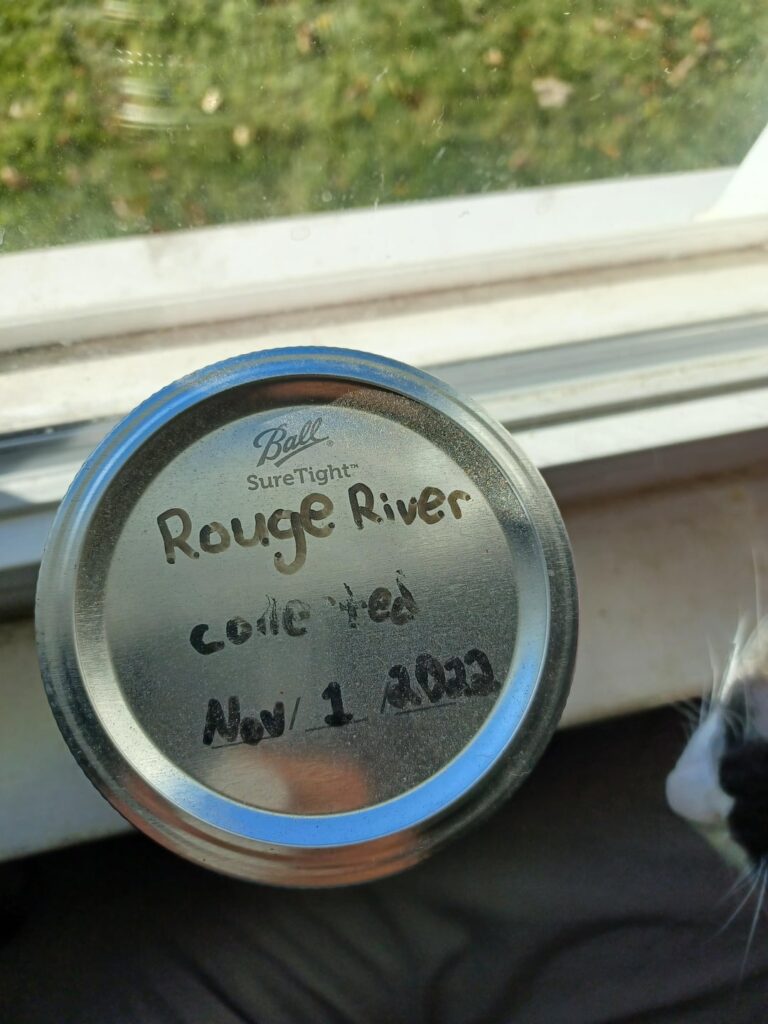 One year update on the polluted river ecosphere