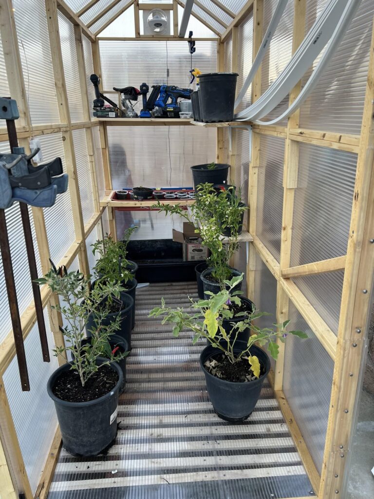 Simple Green House