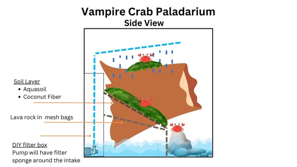 Vampire Crab Paladarium Build Advice Needed