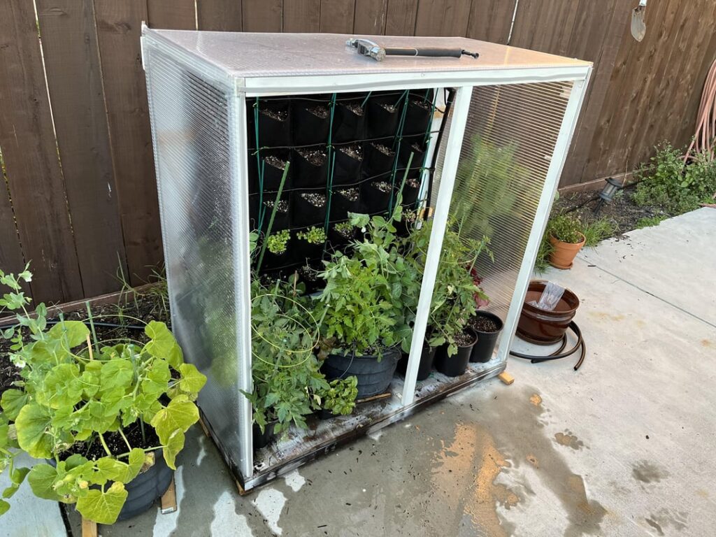 Installed the drip irrigation today. Installed the drip irrigation today.