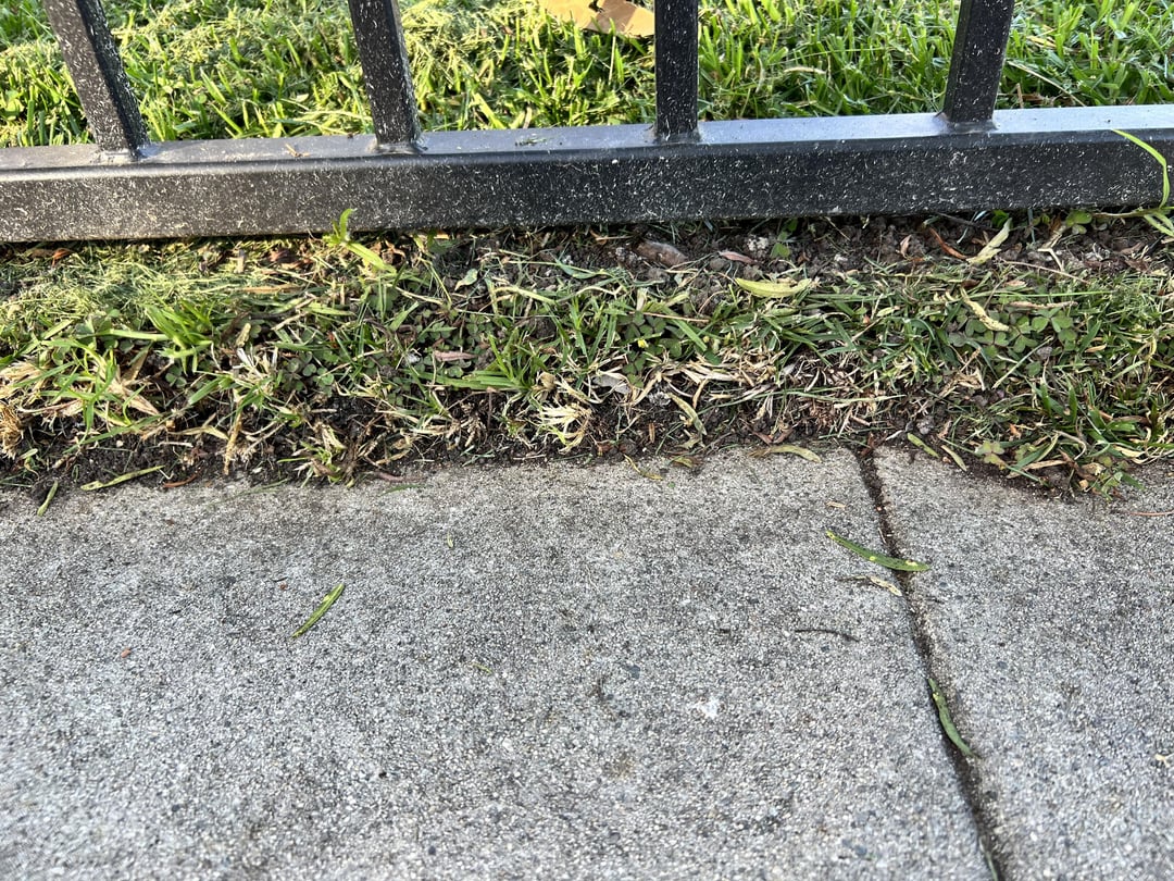 What’s causing spongy lawn and little dirt pellets? All For Gardening