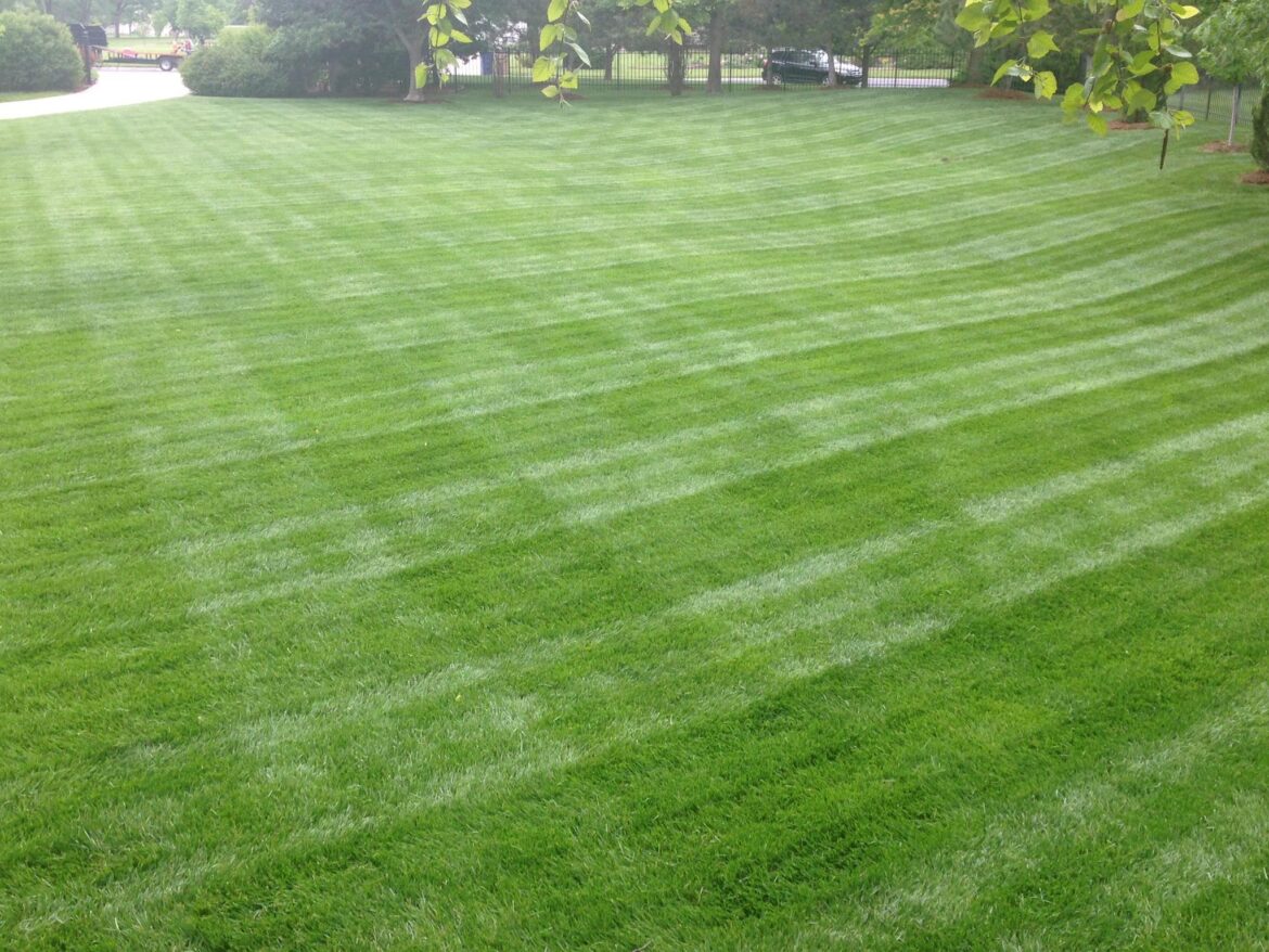 One of my favorite yards to mow!