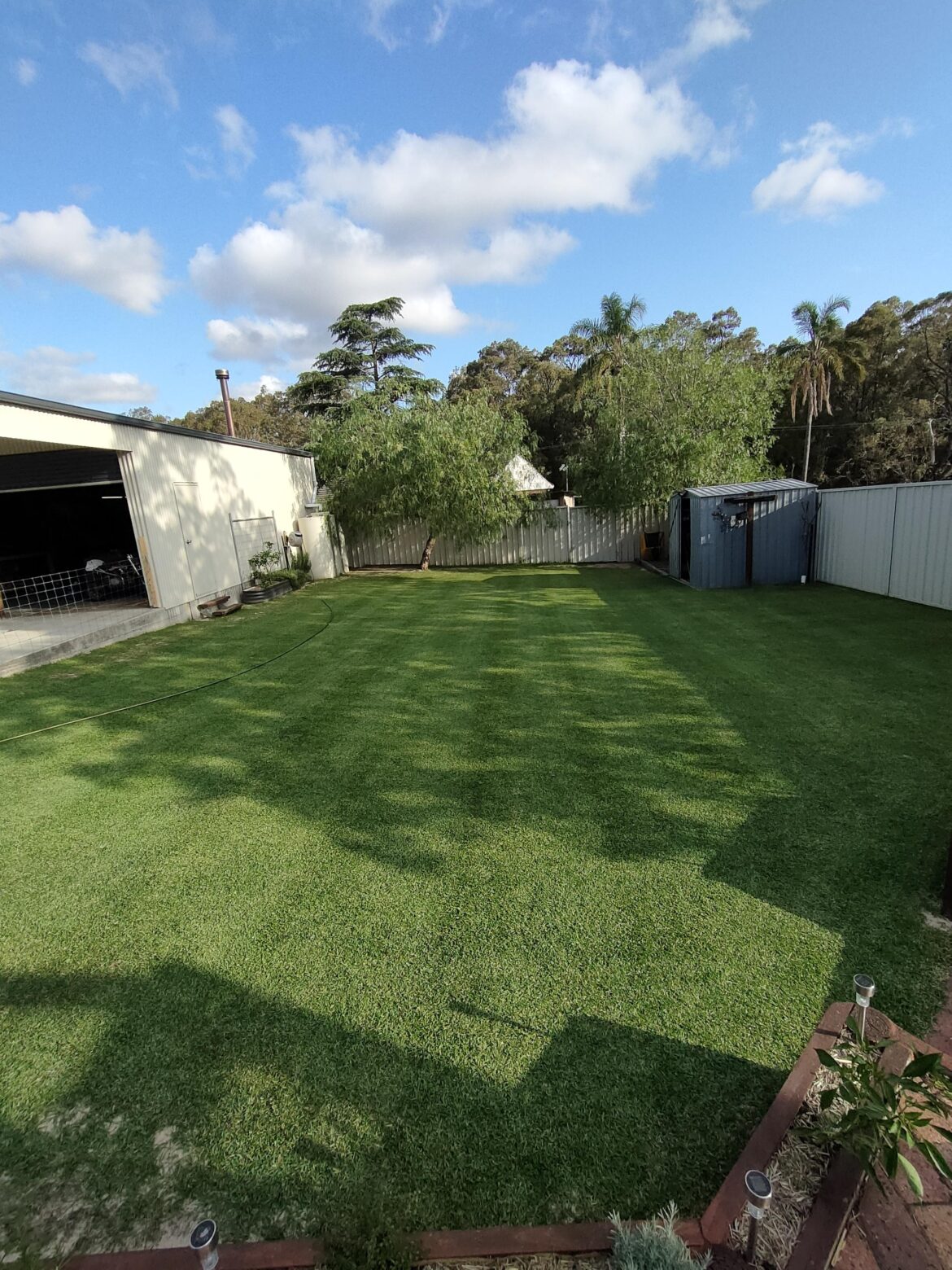 Finally mowing with the cylinder mower after the renno.