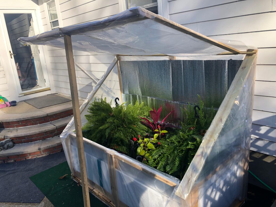 Ok, I know this is not your ideal greenhouse… Ok, I know this is not your ideal greenhouse…
