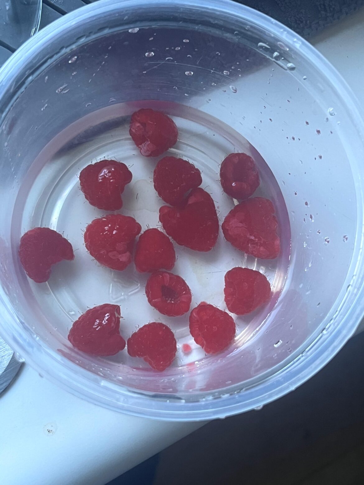 Soaking raspberries in water is that white stuff mold?