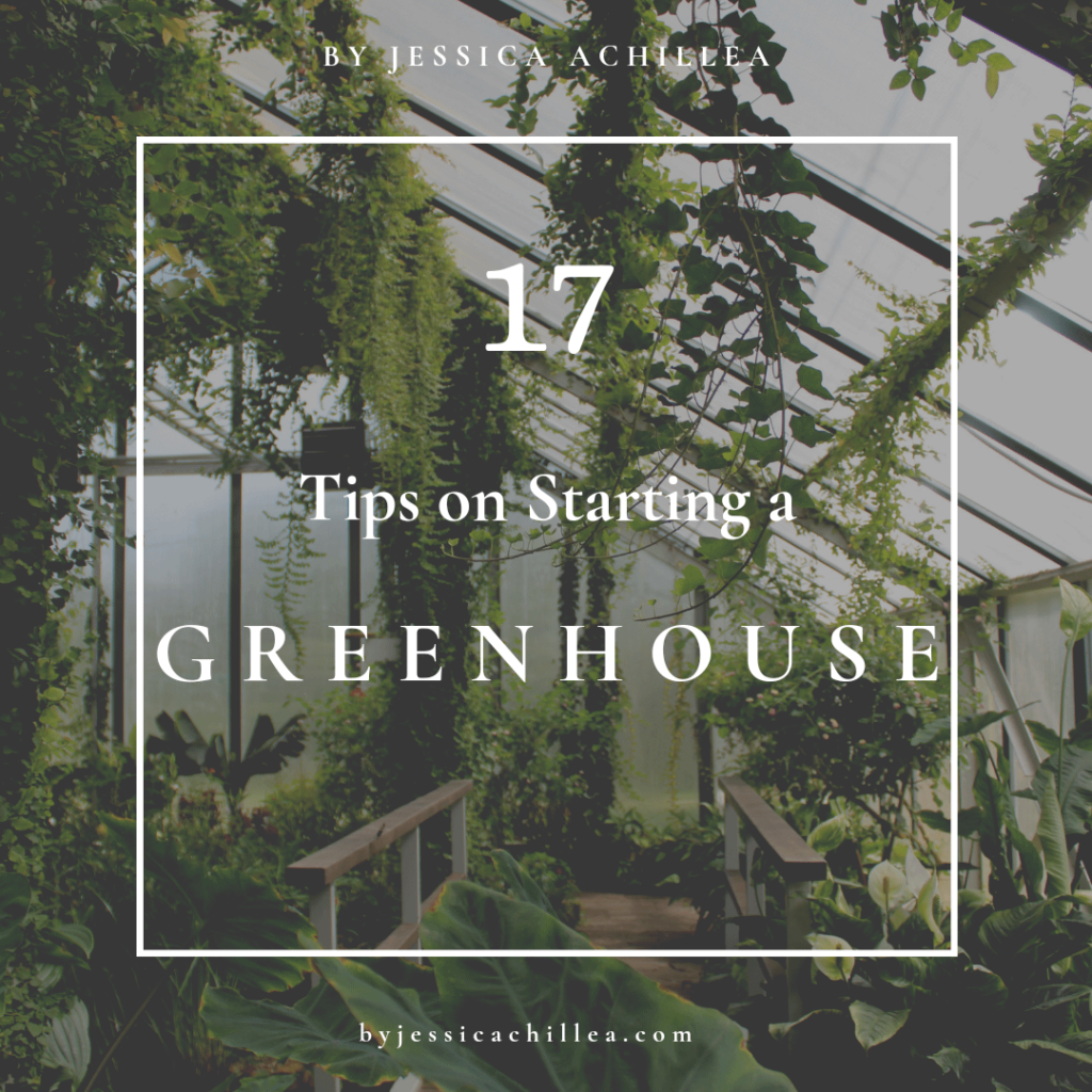 🌿 17 Tips on Starting a Greenhouse 🌿