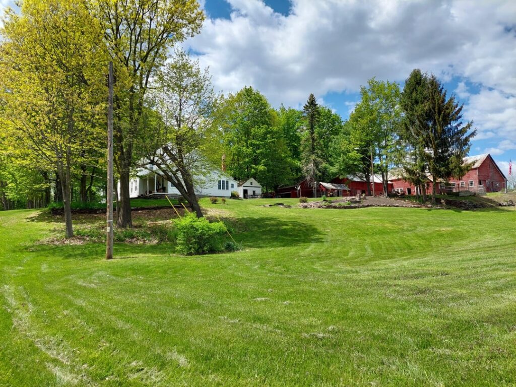 Pics of our old house/lawn. Always enjoyed mowing it.