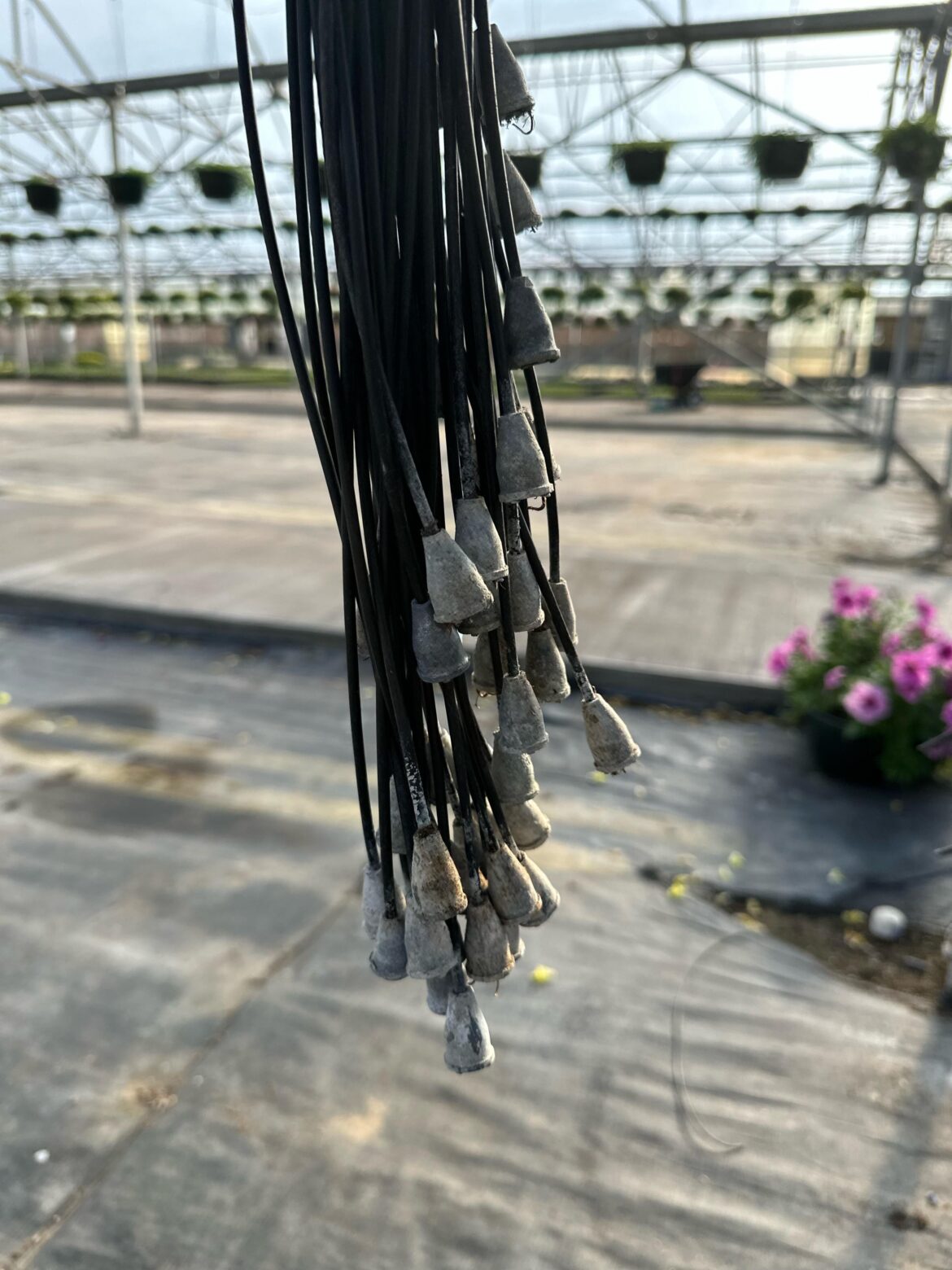 Help! Does anyone know where to purchase Irrigation emitters like these?