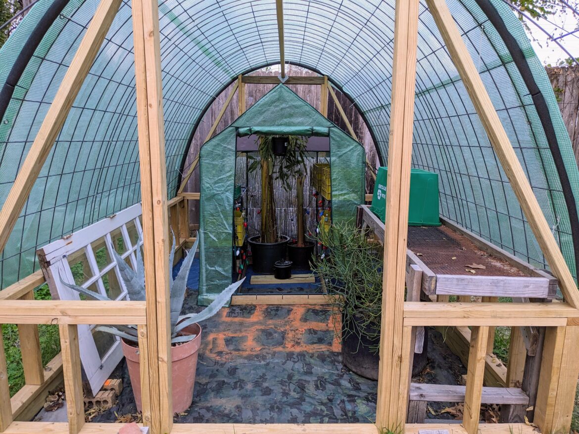 9'x13' under construction with insulated mini greenhouse inside it. Maintaining 23°F temperature gain at night in the mini greenhouse currently with C9 x-mas lights and a small crockpot here in 7b.