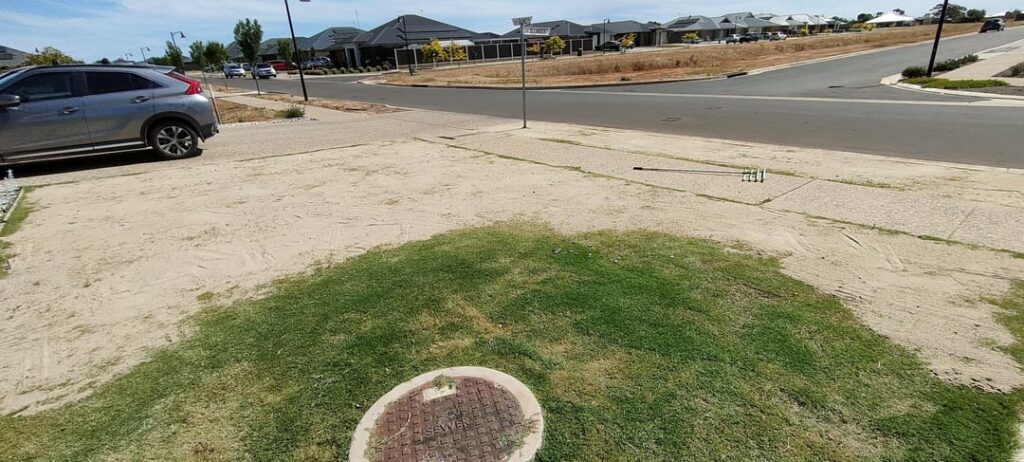 First time I've tried to top dress myself. 1 week