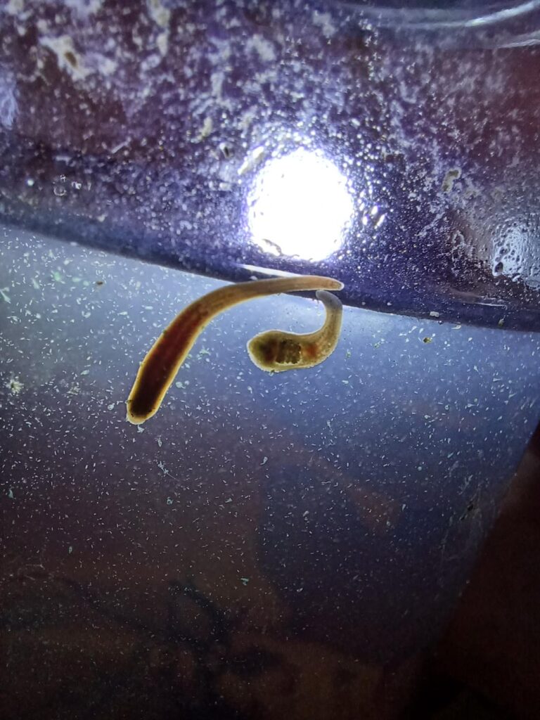 Who is he??