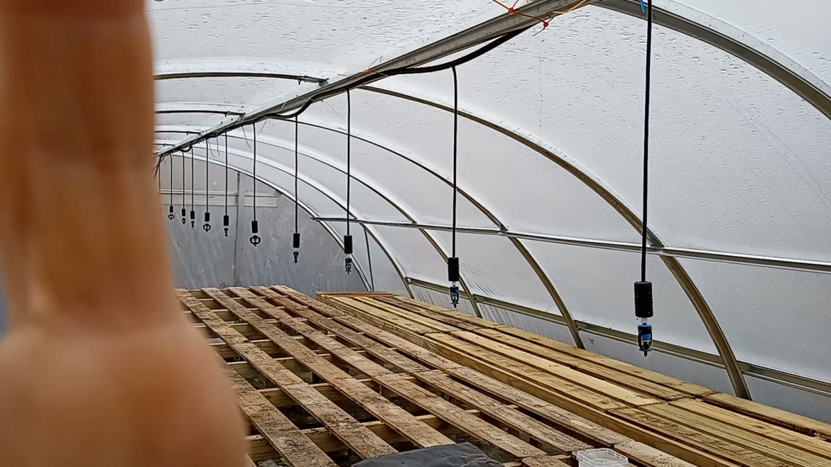 Finally finished my greenhouse benches.