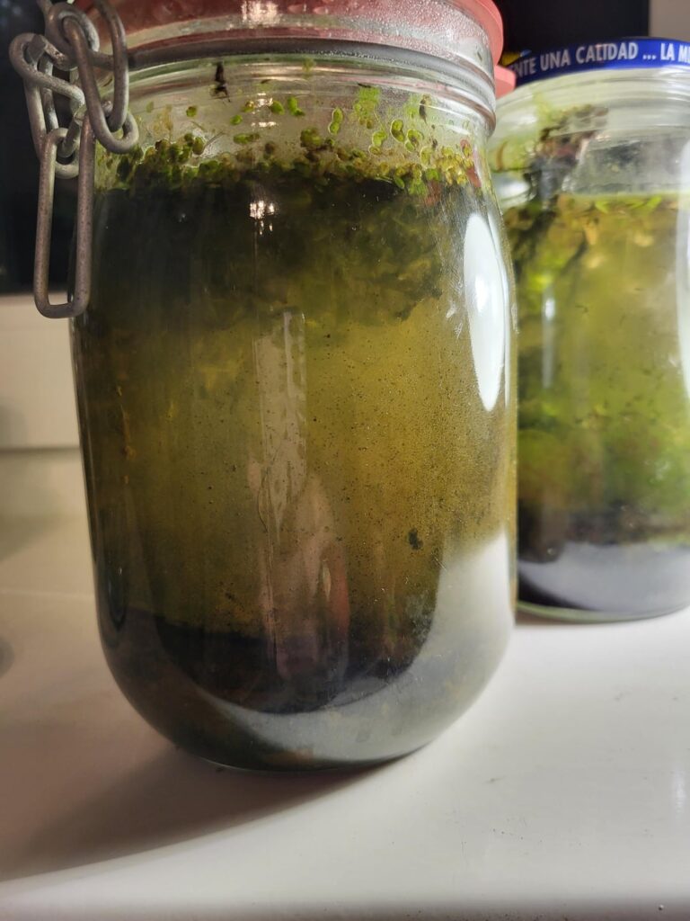 Guys whats wrong with my jar