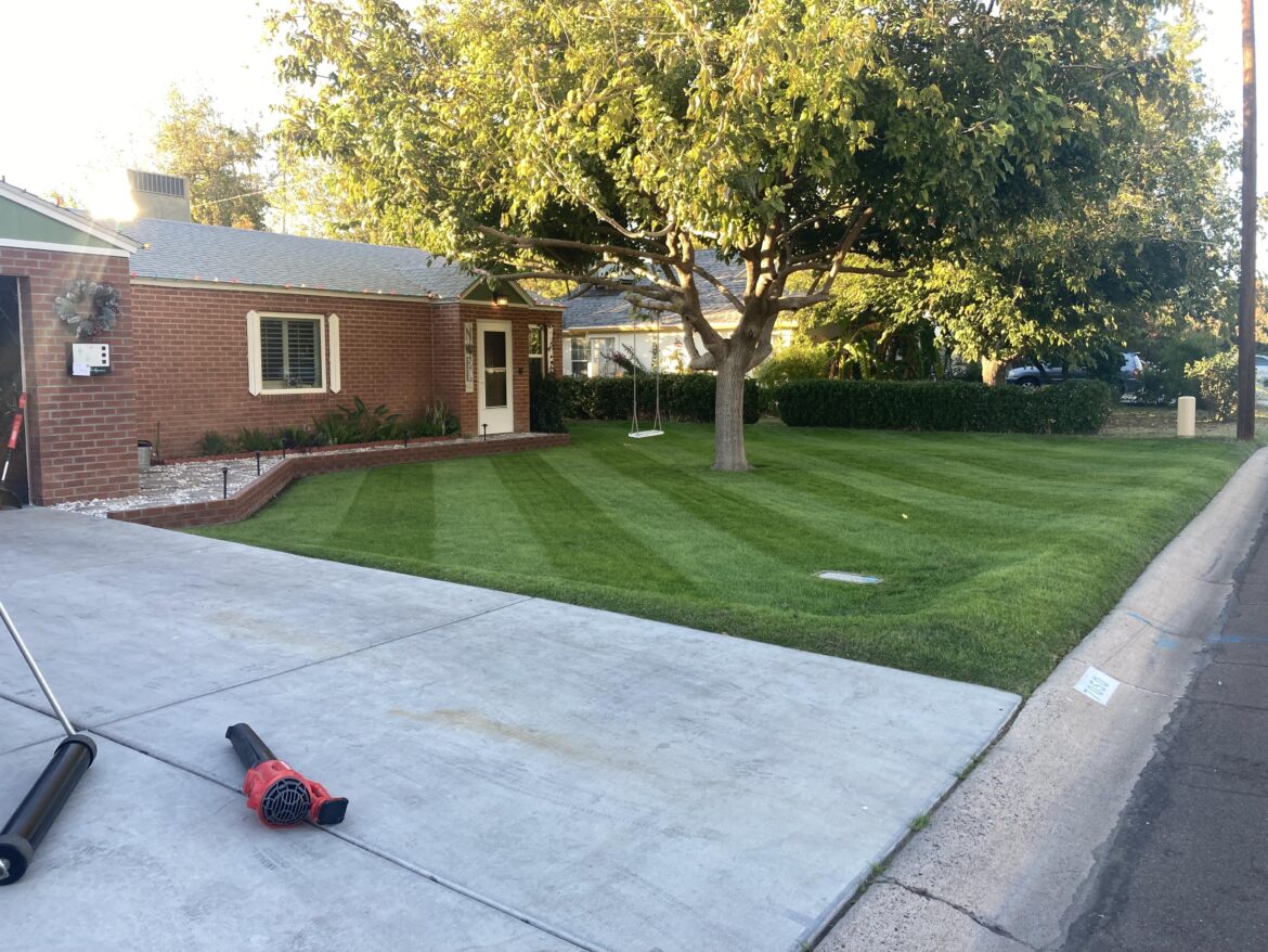 2 months of winter rye.