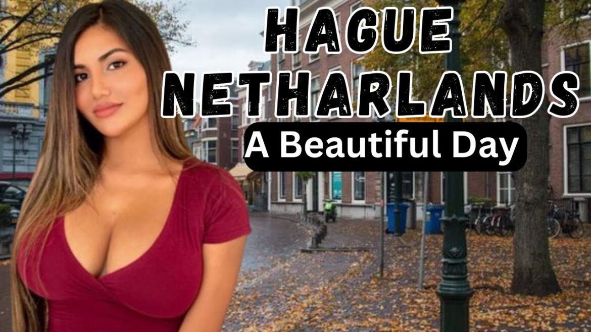 Experience the Beauty and Charm of The Hague, Netherlands – The Travel Diaries Experience the Beauty and Charm of The Hague, Netherlands - The Travel Diaries